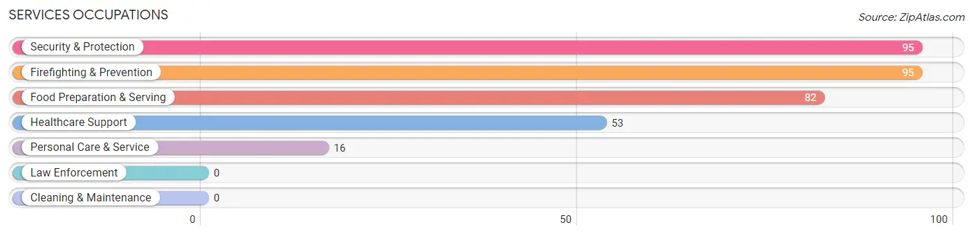 Services Occupations in Gloverville