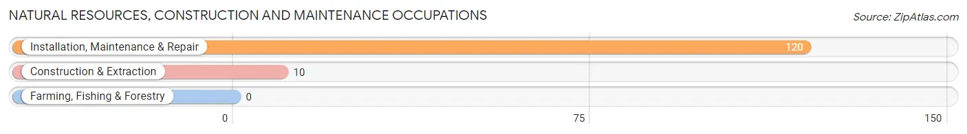 Natural Resources, Construction and Maintenance Occupations in Golden Grove