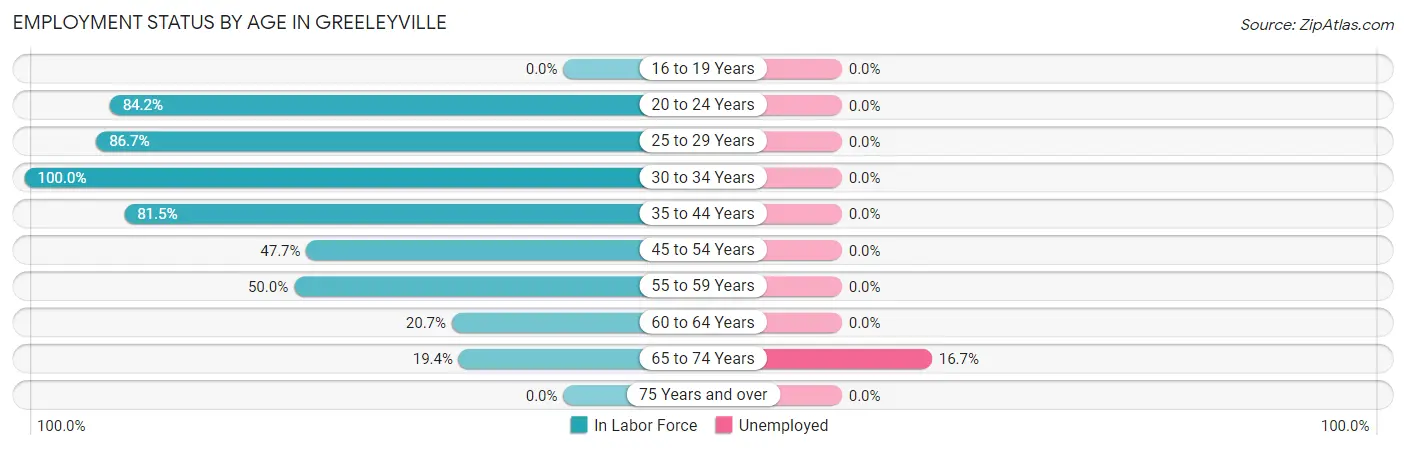 Employment Status by Age in Greeleyville