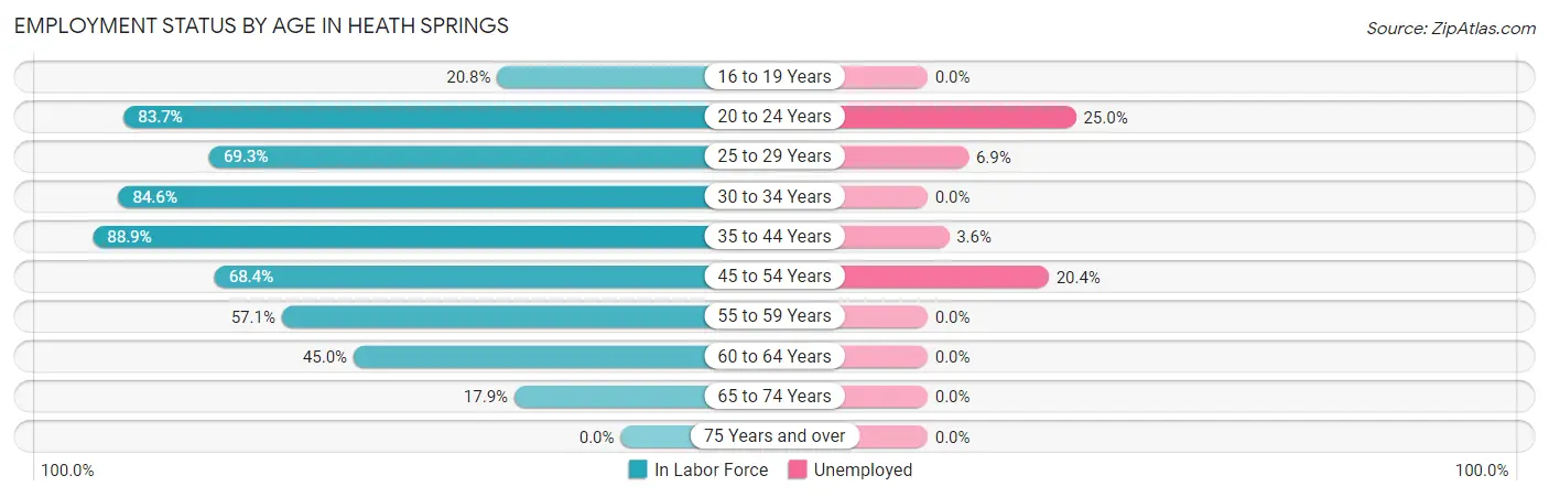 Employment Status by Age in Heath Springs