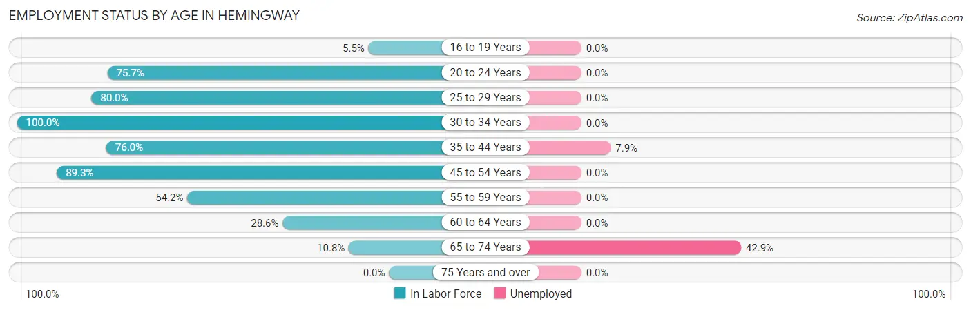 Employment Status by Age in Hemingway