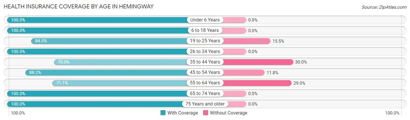 Health Insurance Coverage by Age in Hemingway