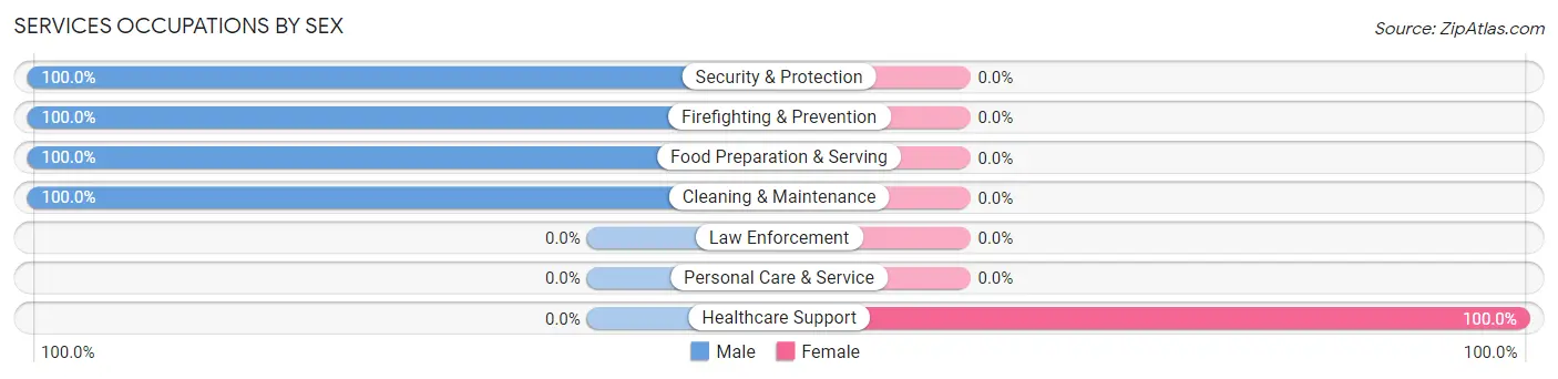 Services Occupations by Sex in Hemingway