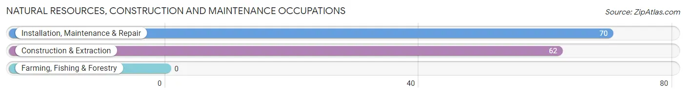 Natural Resources, Construction and Maintenance Occupations in Hilltop