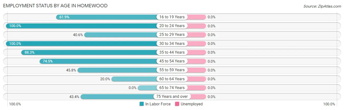 Employment Status by Age in Homewood