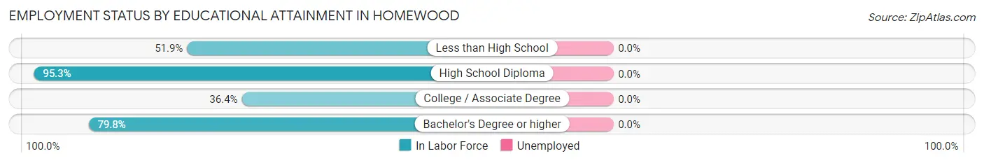 Employment Status by Educational Attainment in Homewood