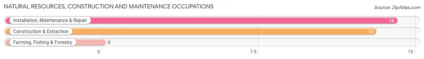 Natural Resources, Construction and Maintenance Occupations in Inman Mills