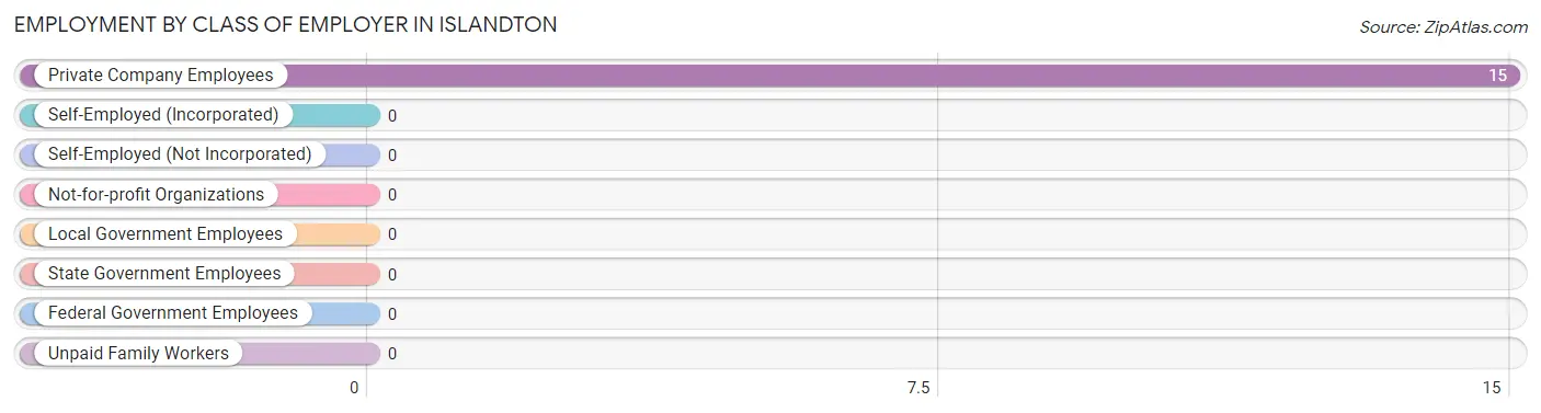 Employment by Class of Employer in Islandton