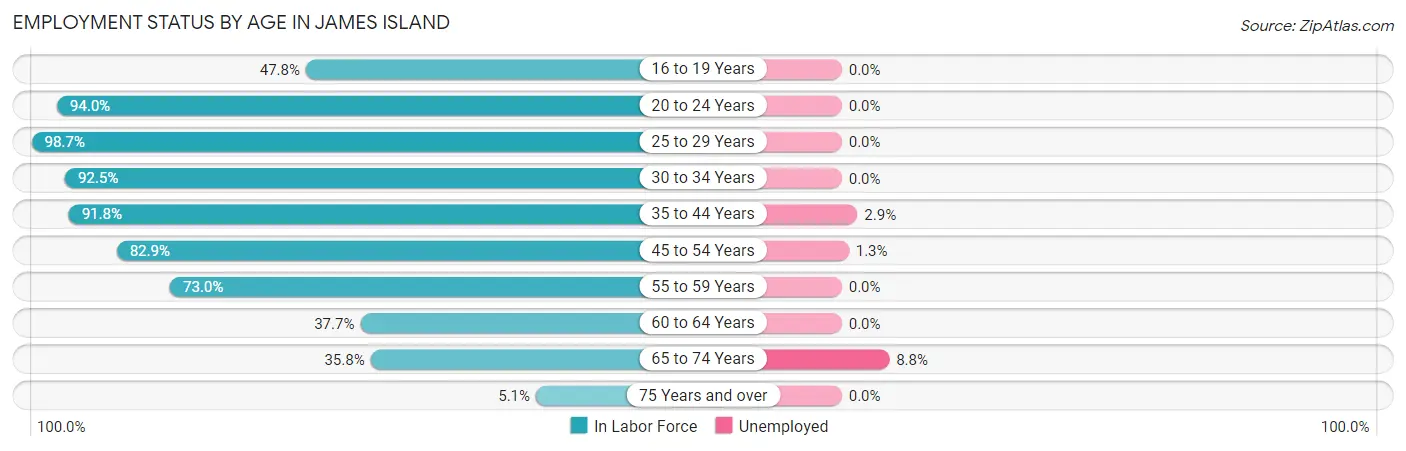 Employment Status by Age in James Island