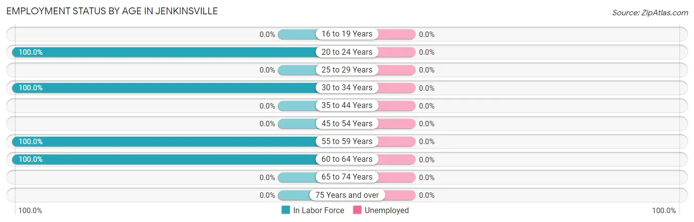 Employment Status by Age in Jenkinsville