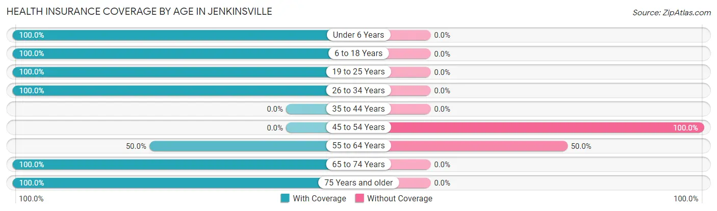 Health Insurance Coverage by Age in Jenkinsville