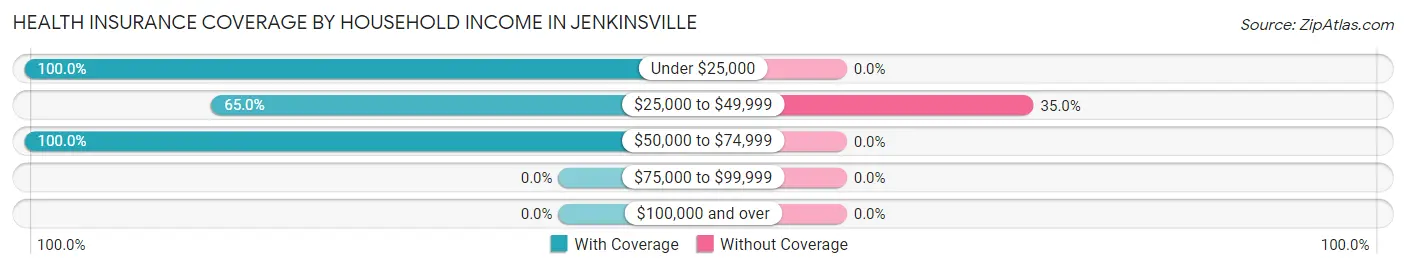 Health Insurance Coverage by Household Income in Jenkinsville