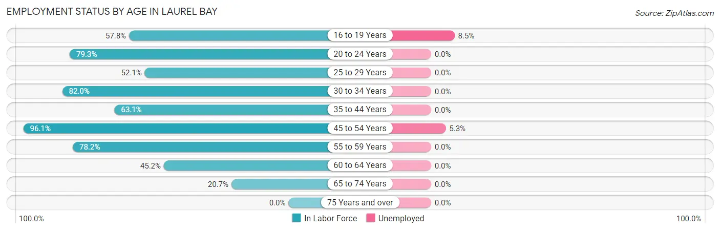 Employment Status by Age in Laurel Bay
