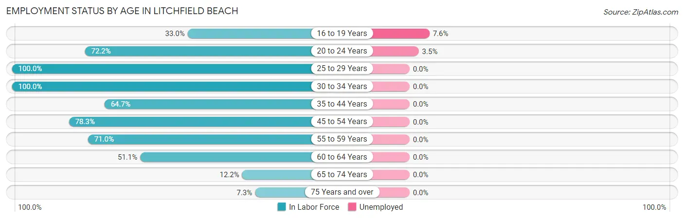 Employment Status by Age in Litchfield Beach