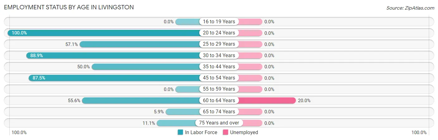 Employment Status by Age in Livingston