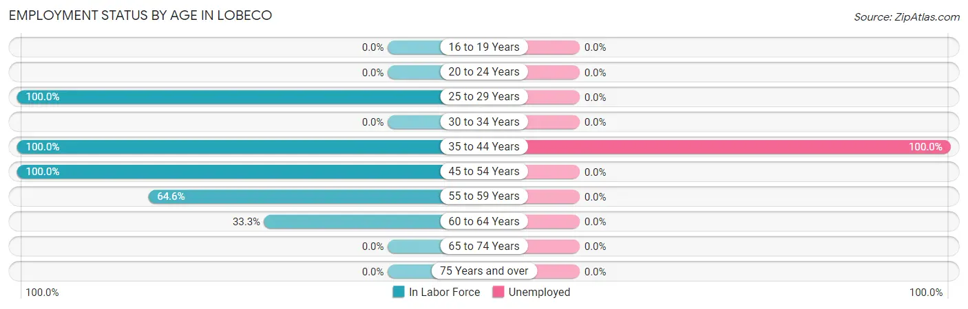 Employment Status by Age in Lobeco