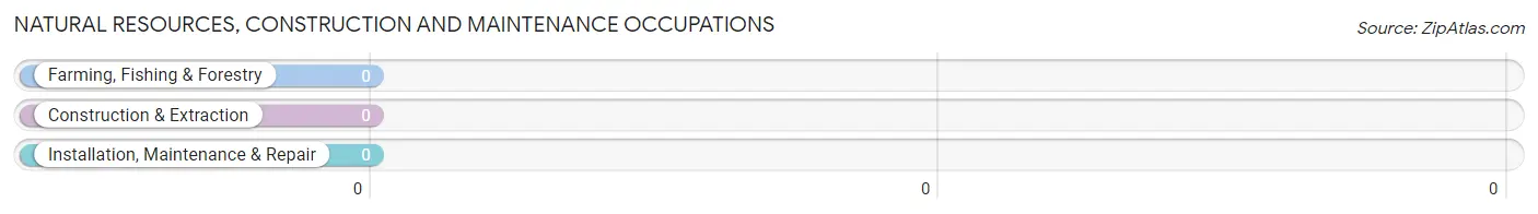 Natural Resources, Construction and Maintenance Occupations in Longcreek