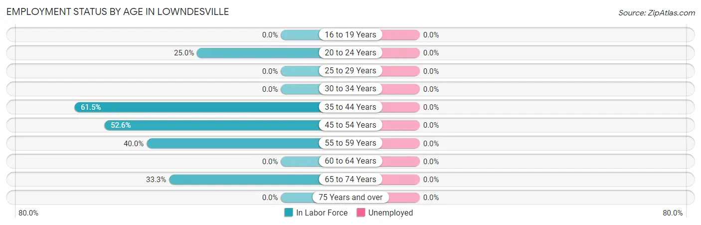Employment Status by Age in Lowndesville