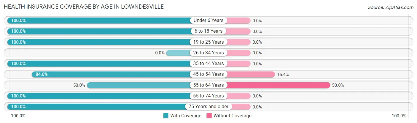 Health Insurance Coverage by Age in Lowndesville