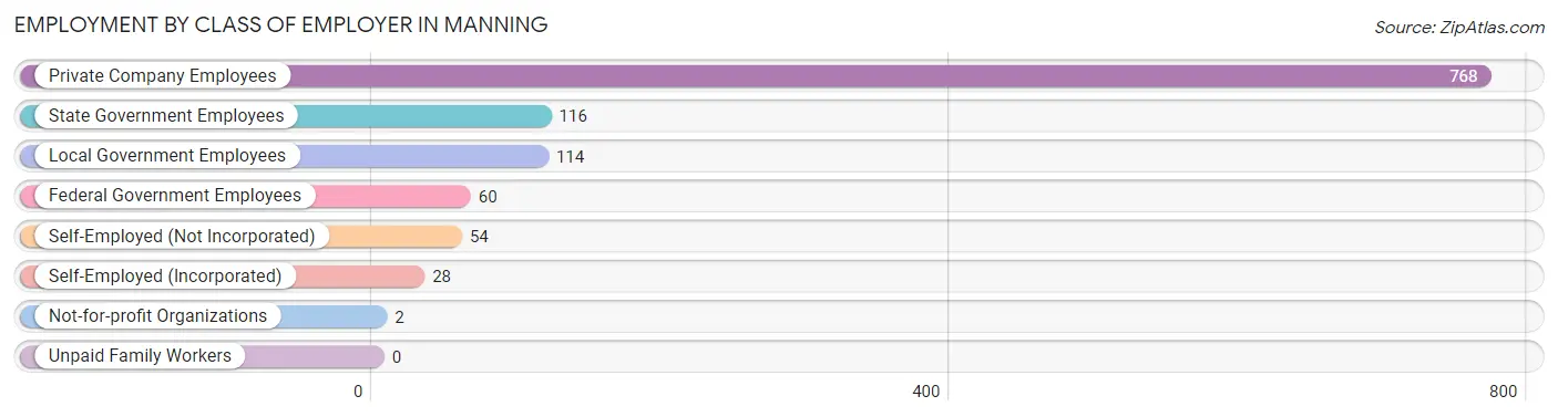 Employment by Class of Employer in Manning