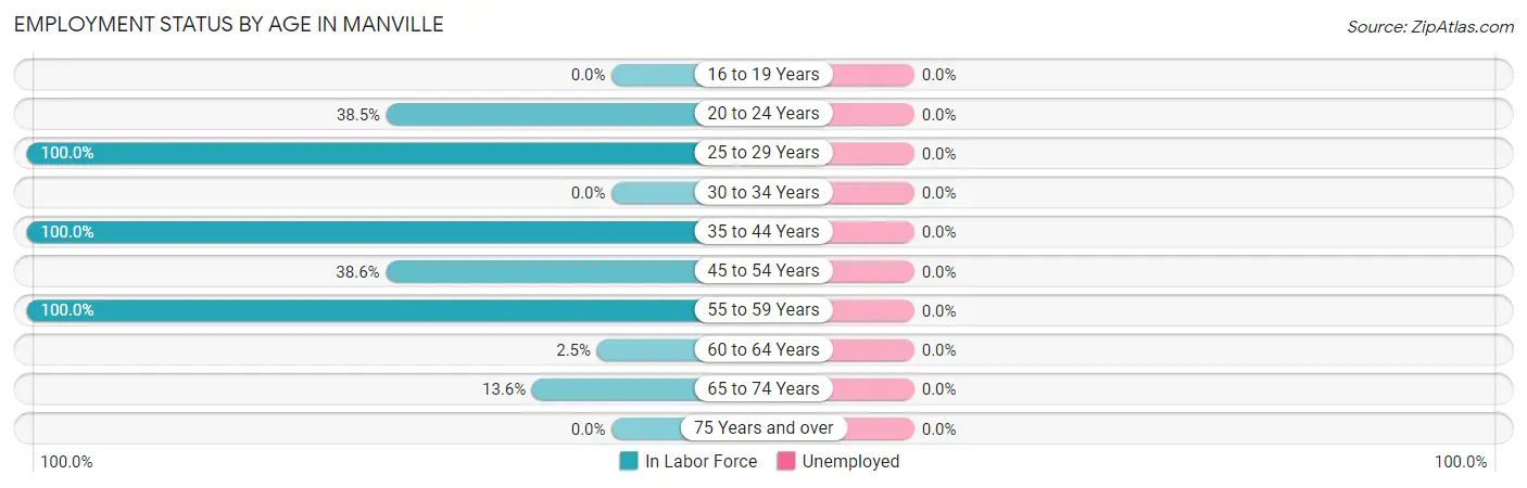 Employment Status by Age in Manville