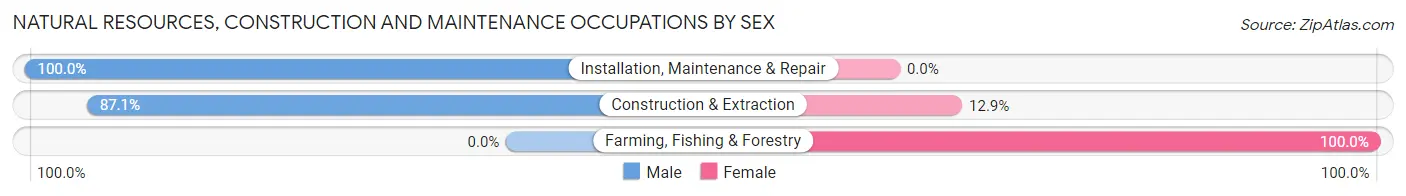 Natural Resources, Construction and Maintenance Occupations by Sex in Mayo