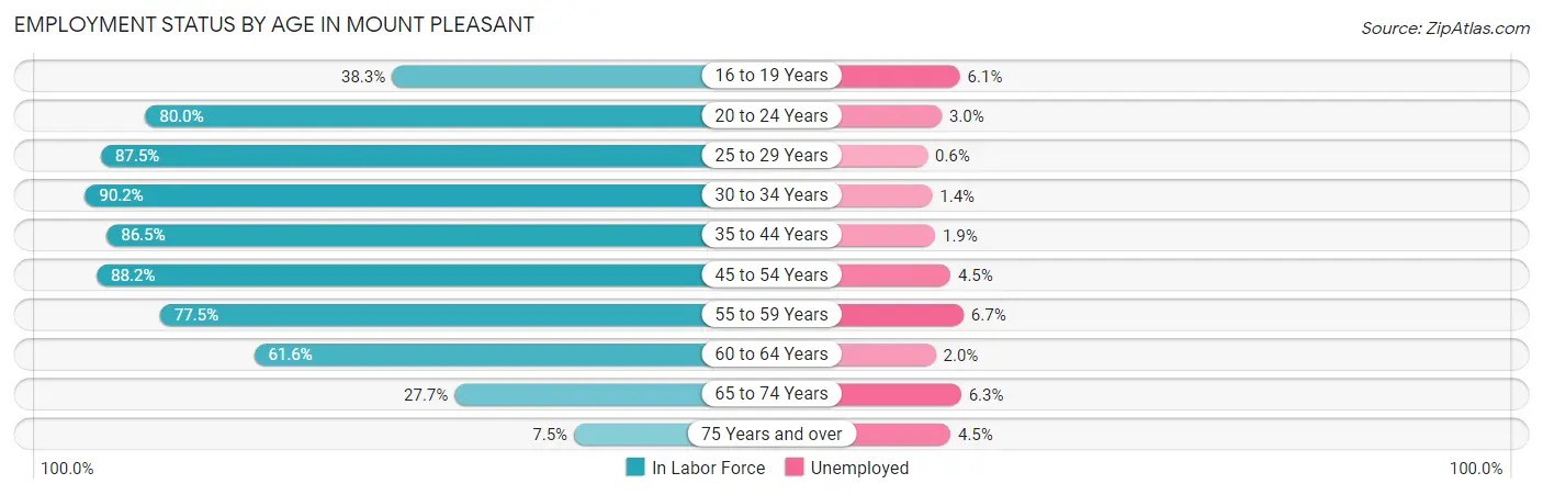 Employment Status by Age in Mount Pleasant