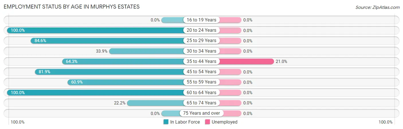 Employment Status by Age in Murphys Estates