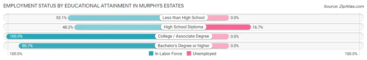 Employment Status by Educational Attainment in Murphys Estates