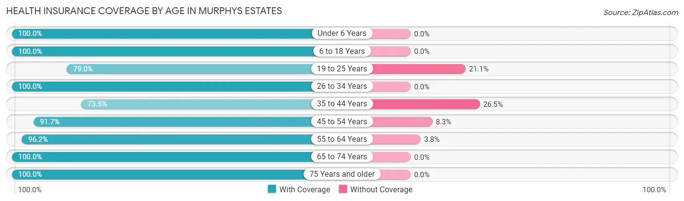Health Insurance Coverage by Age in Murphys Estates