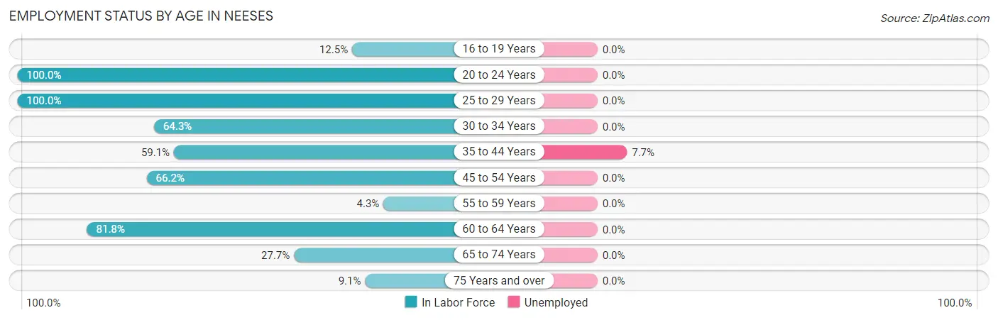 Employment Status by Age in Neeses