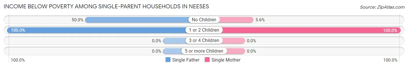 Income Below Poverty Among Single-Parent Households in Neeses