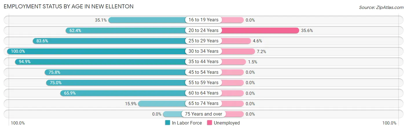 Employment Status by Age in New Ellenton