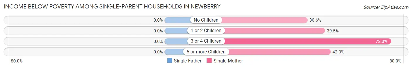 Income Below Poverty Among Single-Parent Households in Newberry