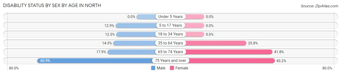 Disability Status by Sex by Age in North