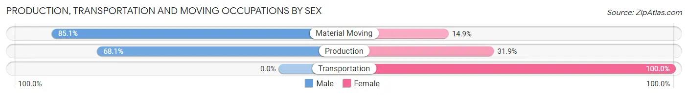 Production, Transportation and Moving Occupations by Sex in Patrick