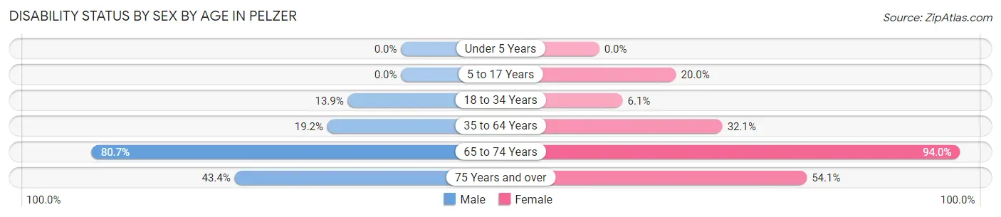 Disability Status by Sex by Age in Pelzer