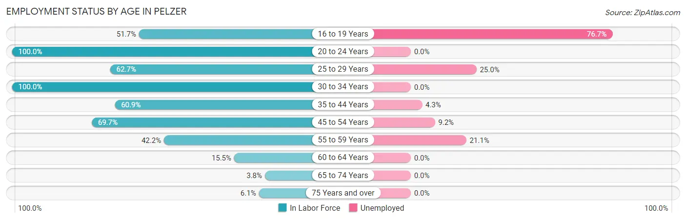 Employment Status by Age in Pelzer