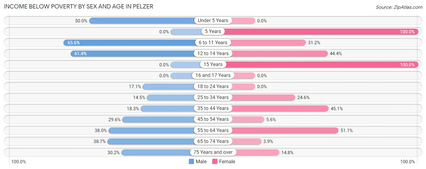 Income Below Poverty by Sex and Age in Pelzer