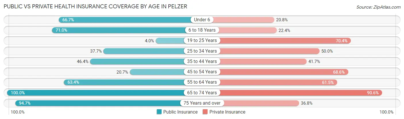 Public vs Private Health Insurance Coverage by Age in Pelzer