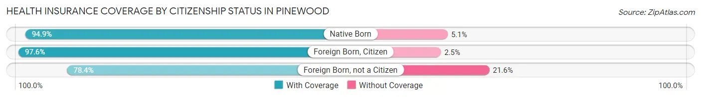 Health Insurance Coverage by Citizenship Status in Pinewood