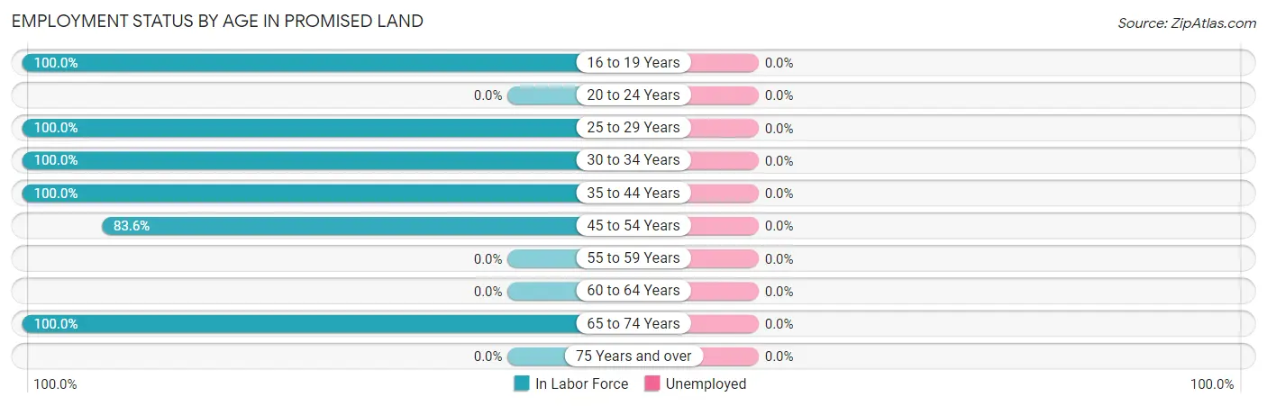 Employment Status by Age in Promised Land