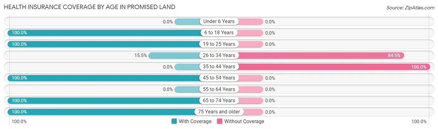 Health Insurance Coverage by Age in Promised Land