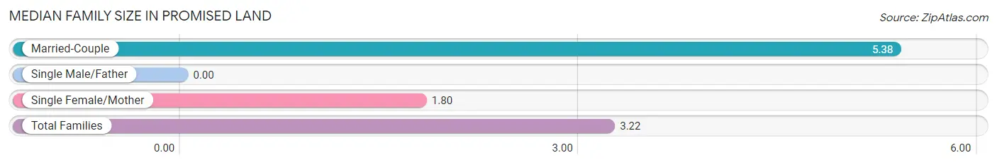 Median Family Size in Promised Land