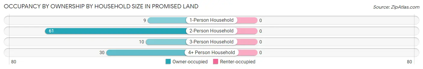 Occupancy by Ownership by Household Size in Promised Land