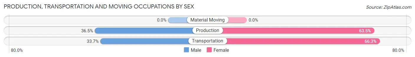 Production, Transportation and Moving Occupations by Sex in Promised Land