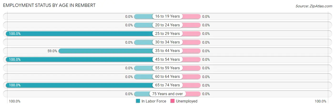 Employment Status by Age in Rembert