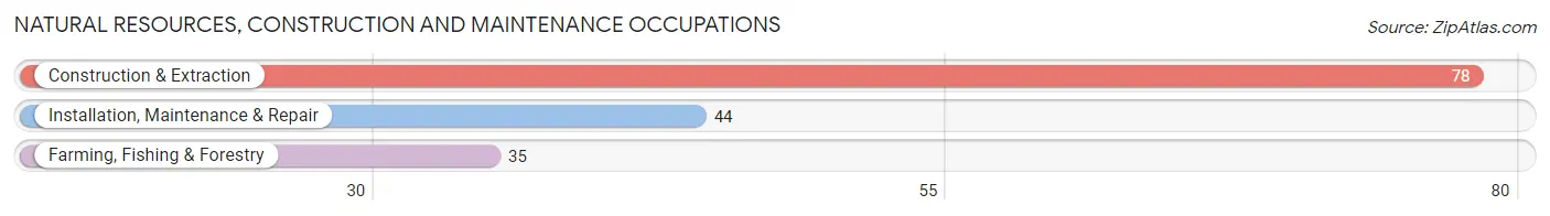 Natural Resources, Construction and Maintenance Occupations in Saxon