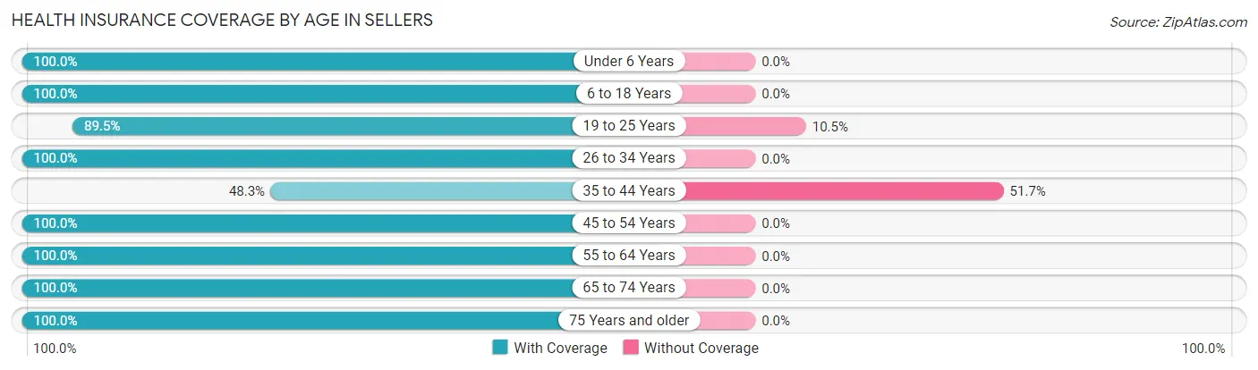 Health Insurance Coverage by Age in Sellers