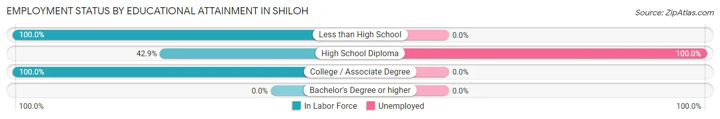 Employment Status by Educational Attainment in Shiloh